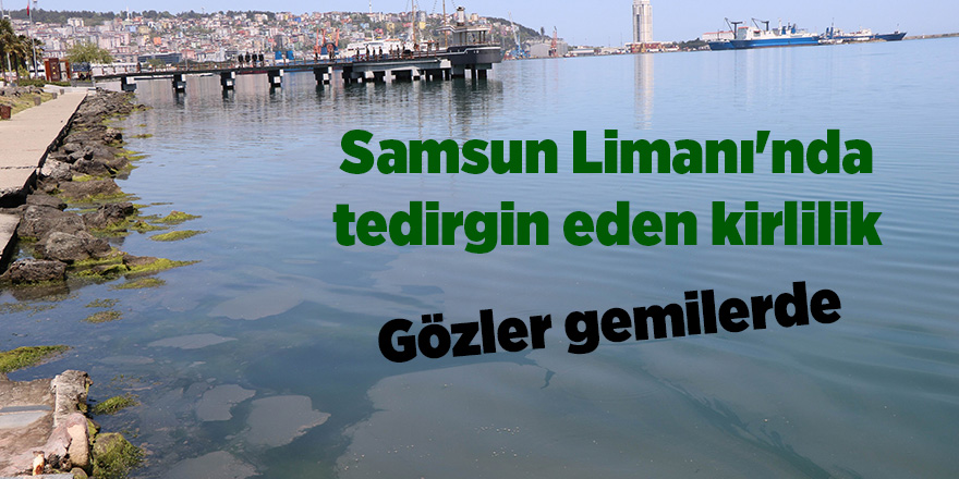 Samsun Limanı'nda tedirgin eden kirlilik - samsun haber