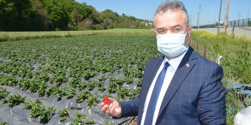 19 Mayıs'ta yöresel ürünler görücüye çıkacak - samsun haber