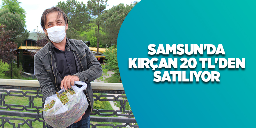 Samsun'da kırçan 20 TL'den satılıyor - samsun haber