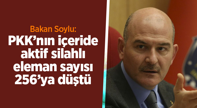 Bakan Soylu:  PKK’nın içeride aktif silahlı eleman sayısı 256’ya düştü - samsun haber