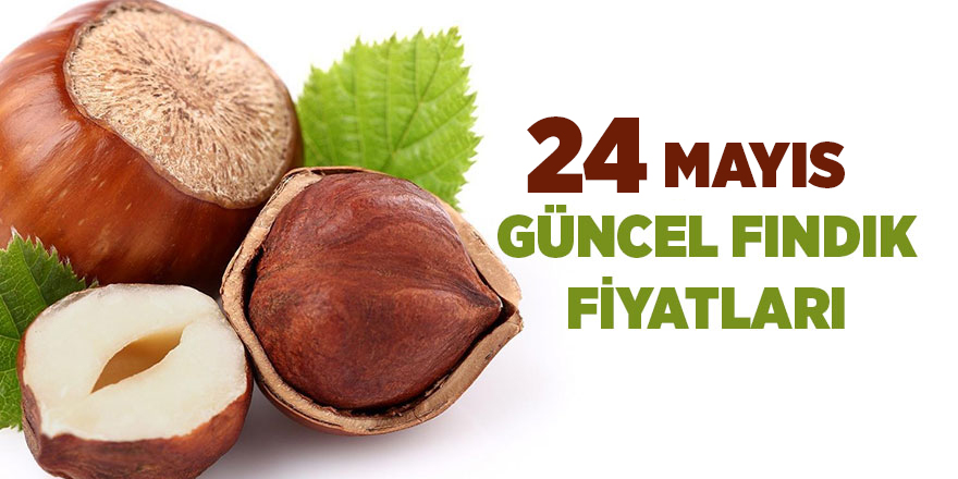 24 Mayıs güncel fındık fiyatları - samsun haber