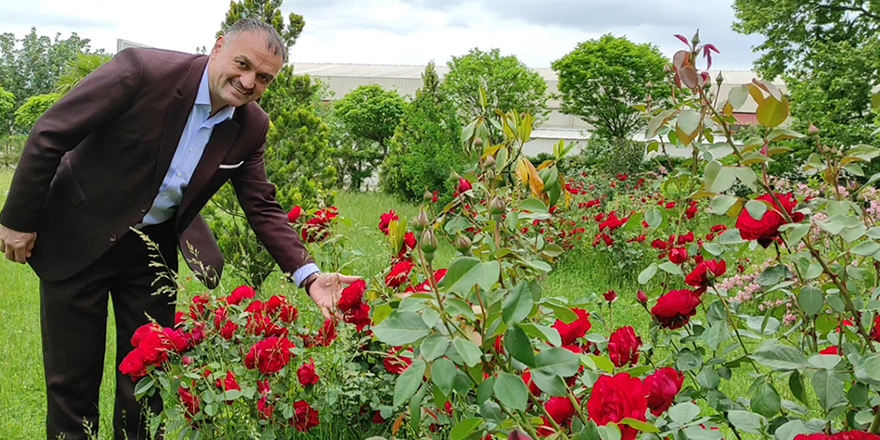 Salıpazarı küçük Isparta oldu - samsun haber