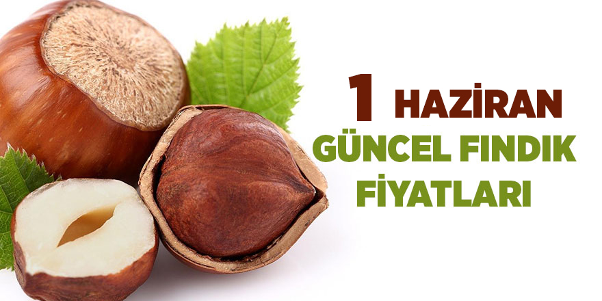 1 Haziran güncel fındık fiyatları - samsun haber