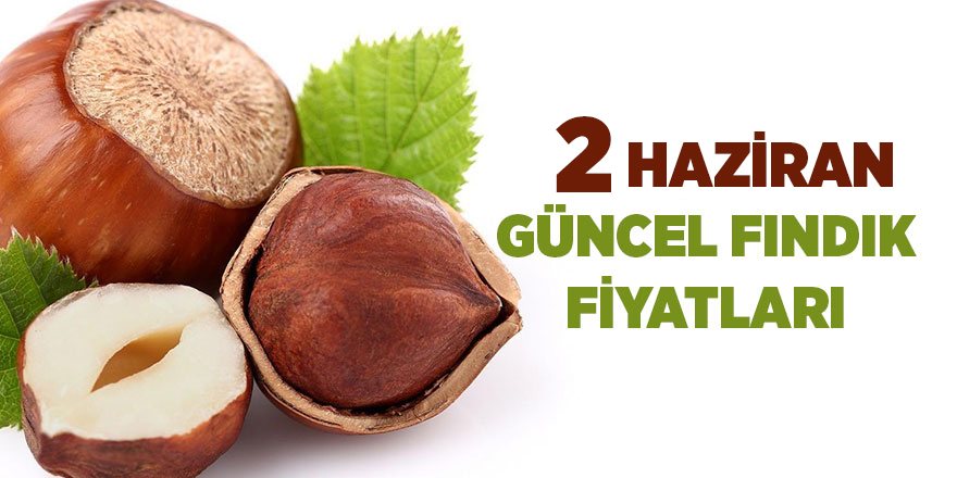 2 Haziran güncel fındık fiyatları - samsun haber