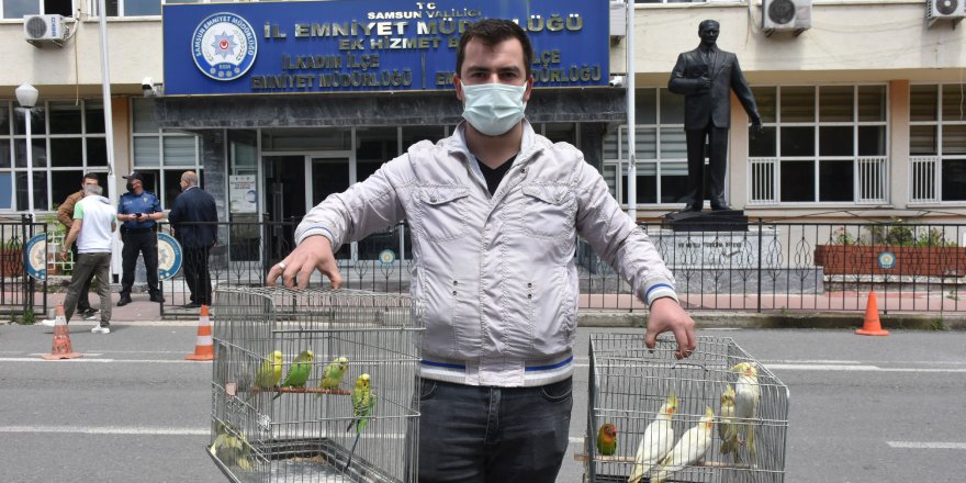 Samsun'da kuş hırsızlığı şüphelisi yakalandı - samsun haber