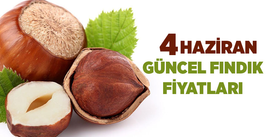 4 Haziran güncel fındık fiyatları - samsun haber