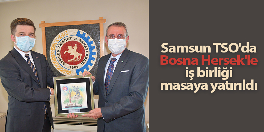 Samsun TSO'da Bosna Hersek'le iş birliği masaya yatırıldı - samsun haber