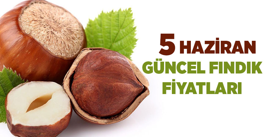 5 Haziran güncel fındık fiyatları - samsun haber