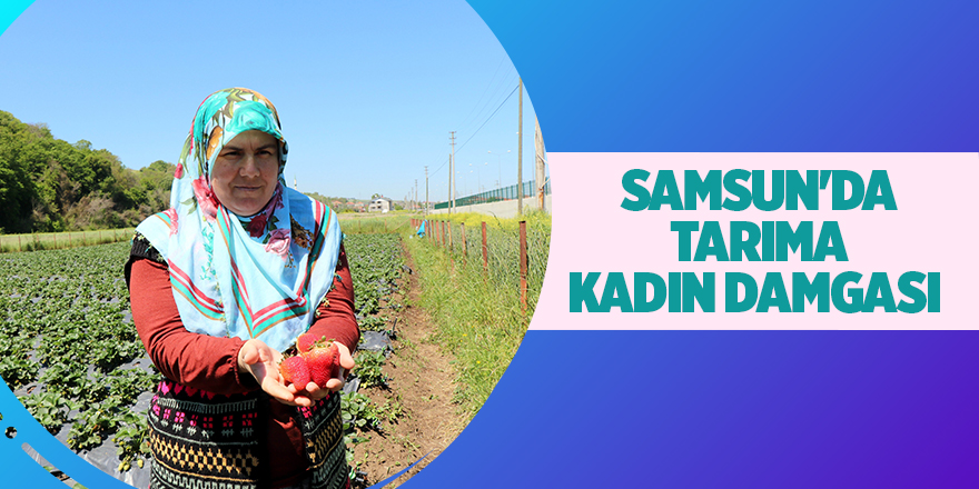 Samsun'da tarıma kadın damgası - samsun haber