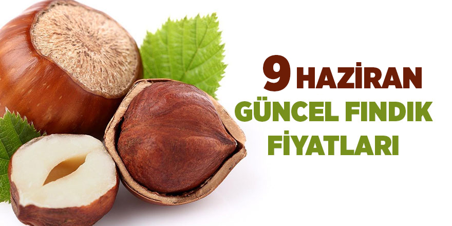 9 Haziran güncel fındık fiyatları - samsun haber