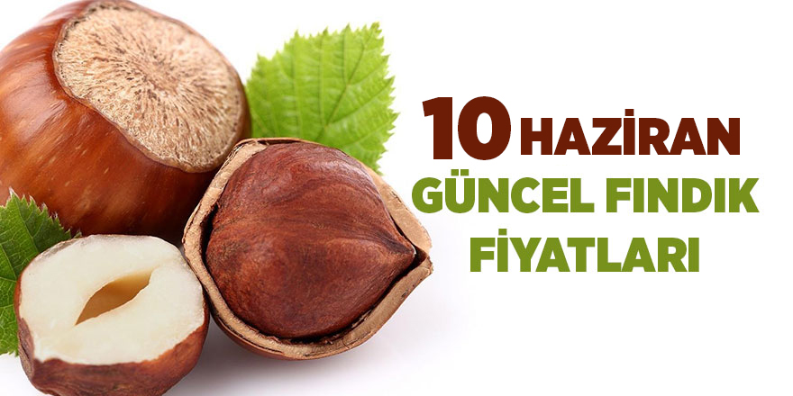 10 Haziran güncel fındık fiyatları - samsun haber