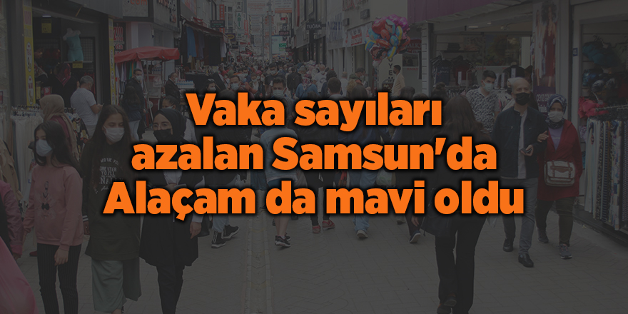 Vaka sayıları azalan Samsun'da Alaçam da mavi oldu - samsun haber