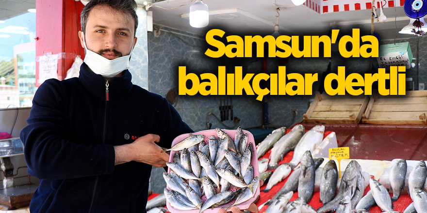 Samsun'da balıkçılar dertli - samsun haber