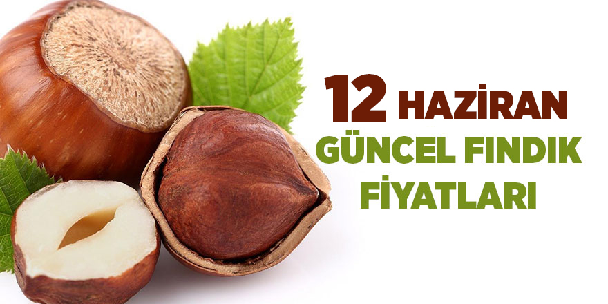 12 Haziran güncel fındık fiyatları - samsun haber