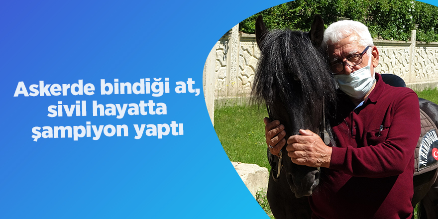 Askerde bindiği at, sivil hayatta şampiyon yaptı - samsun haber