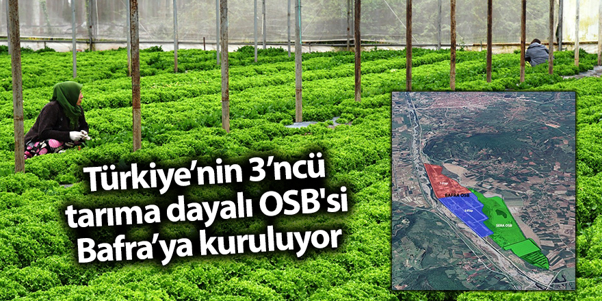 Türkiye’nin 3’ncü tarıma dayalı OSB'si Bafra’ya kuruluyor - samsun haber