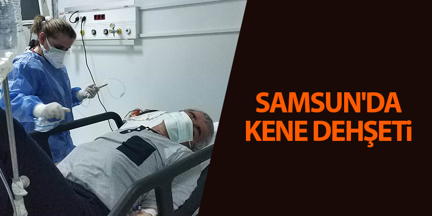 Samsun'da kene dehşeti - samsun haber