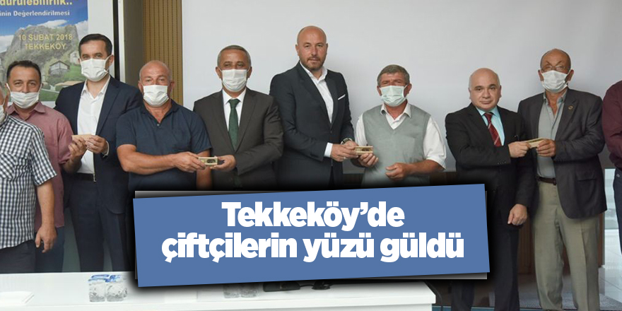 Tekkeköy’de çiftçilerin yüzü güldü - samsun haber