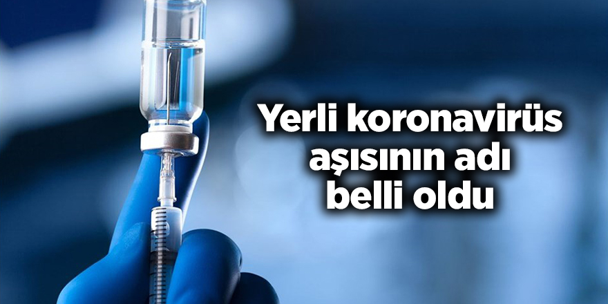 Yerli koronavirüs aşısının adı belli oldu - samsun haber