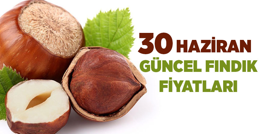 30 Haziran güncel fındık fiyatları - samsun haber