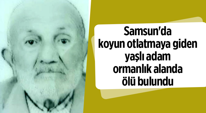 Samsun'da koyun otlatmaya giden yaşlı adam ormanlık alanda ölü bulundu - samsun haber