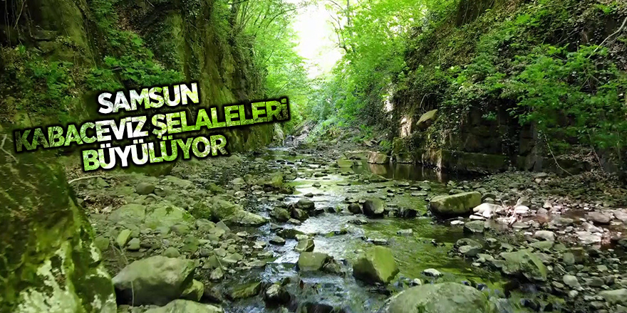 Samsun Kabaceviz Şelaleleri büyülüyor - samsun haber