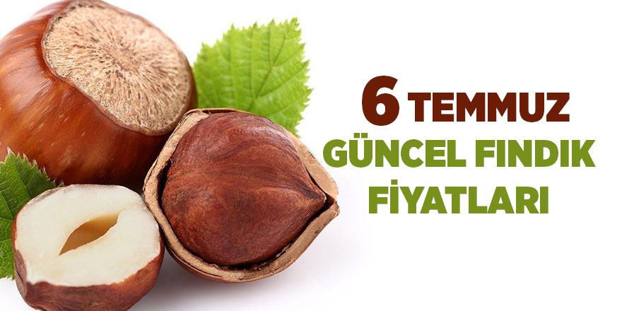 6 Temmuz güncel fındık fiyatları - samsun haber