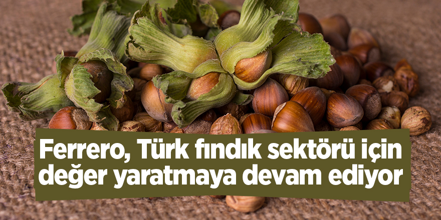 Ferrero, Türk fındık sektörü için değer yaratmaya devam ediyor - samsun haber