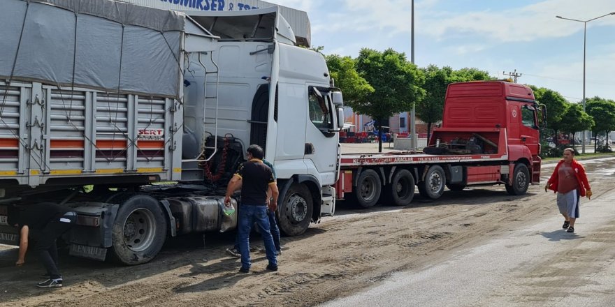 Samsun'da köpeğe çarpmamak için manevra yapan tır refüje çıktı - samsun haber