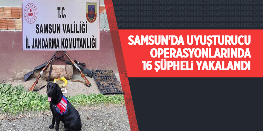 Samsun'da uyuşturucu operasyonlarında 16 şüpheli yakalandı - samsun haber