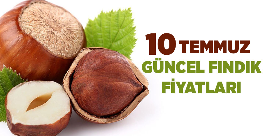 10 Temmuz güncel fındık fiyatları - samsun haber