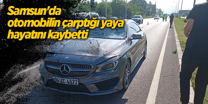 Samsun'da otomobilin çarptığı yaya hayatını kaybetti - samsun haber