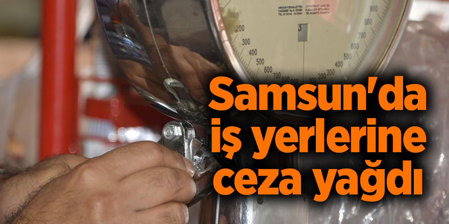 Samsun'da iş yerlerine ceza yağdı - samsun haber