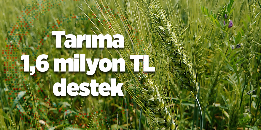 Tarıma 1,6 milyon TL destek - samsun haber