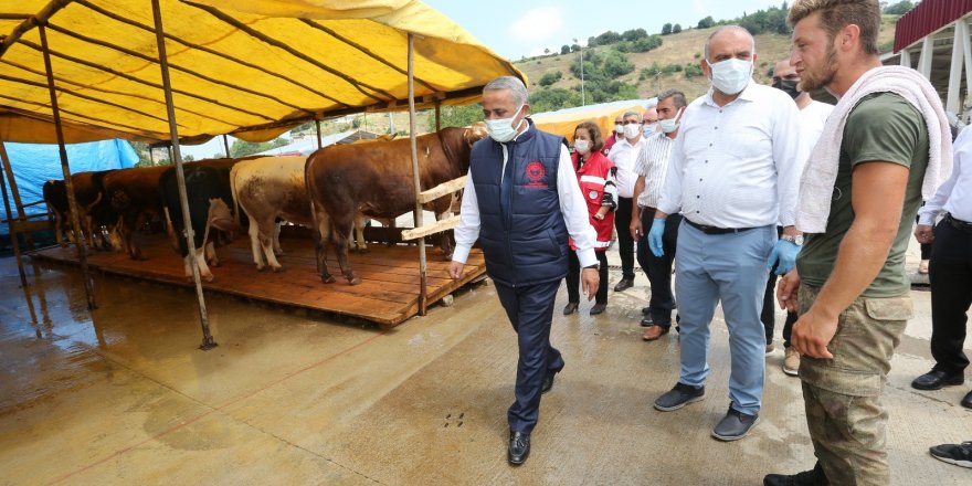 Canik Hayvan Pazarı bayrama hazır - samsun haber