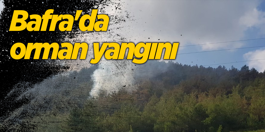 Bafra'da orman yangını - samsun haber