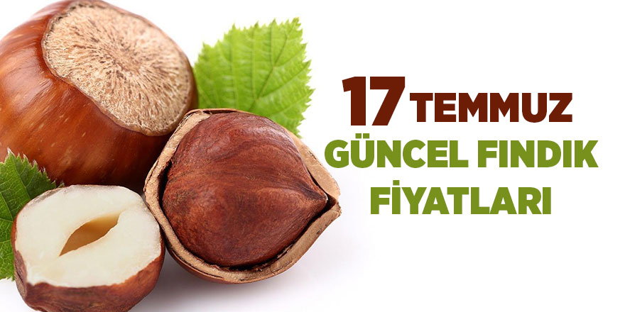 17 Temmuz güncel fındık fiyatları - samsun haber