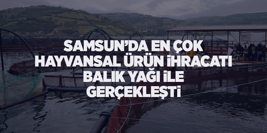 Samsun’da en çok hayvansal ürün ihracatı balık yağı ile gerçekleşti - samsun haber