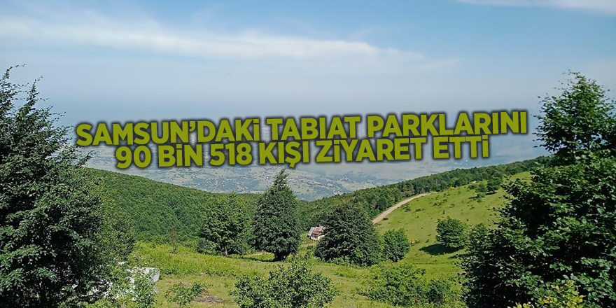 Samsun’daki tabiat parklarını 90 bin 518 kişi ziyaret etti - samsun haber