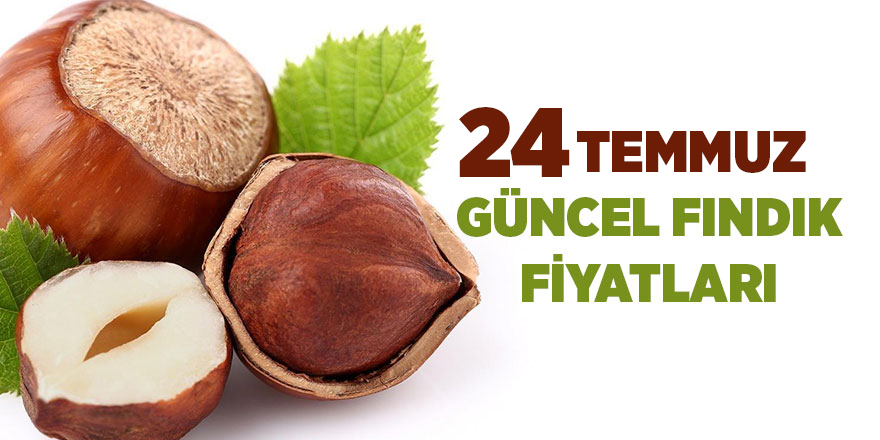 24 Temmuz güncel fındık fiyatları - samsun haber