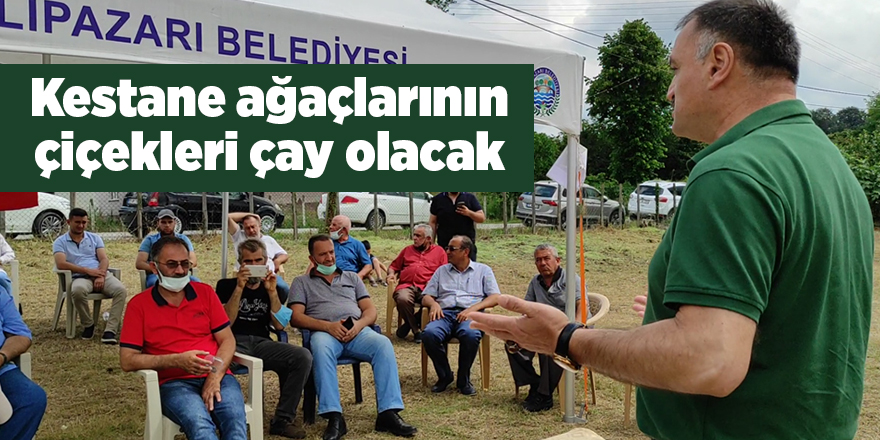 Salıpazarı'na yeni gelir kaynağı - samsun haber