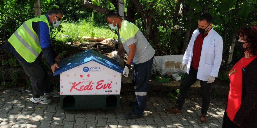 Canik Belediyesi can dostlarını bayramda da unutmadı - samsun haber