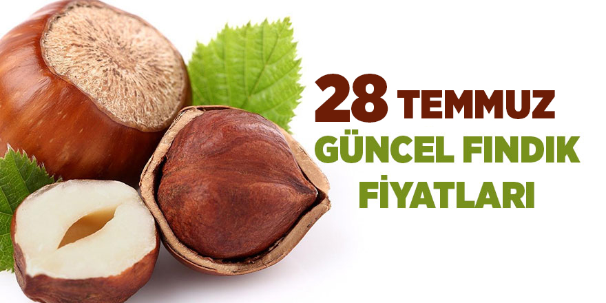 28 Temmuz güncel fındık fiyatları - samsun haber