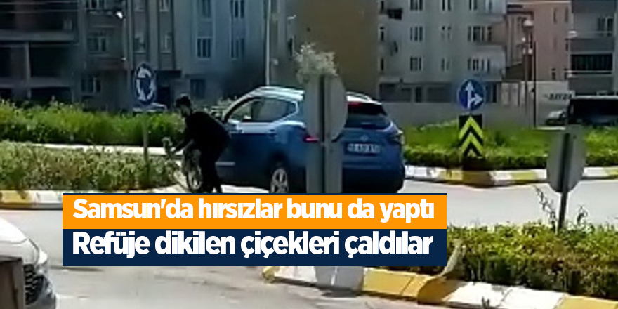 Samsun'da hırsızlar bunu da yaptı - samsun haber