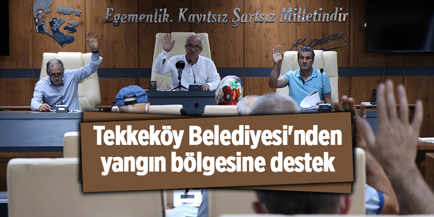 Tekkeköy Belediyesi'nden yangın bölgesine destek - samsun haber