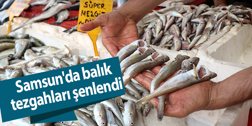 Samsun'da balık tezgahları şenlendi - samsun haber