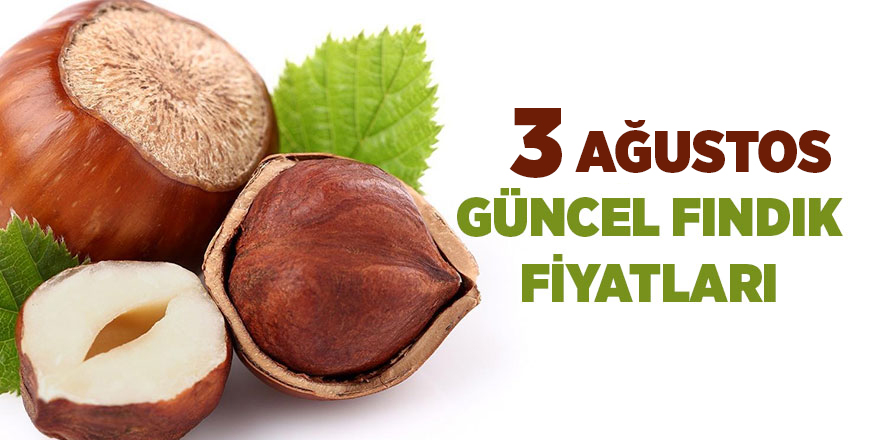 3 Ağustos güncel fındık fiyatları - samsun haber