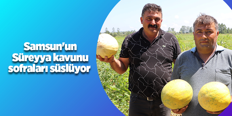 Samsun'un Süreyya kavunu  sofraları süslüyor - samsun haber