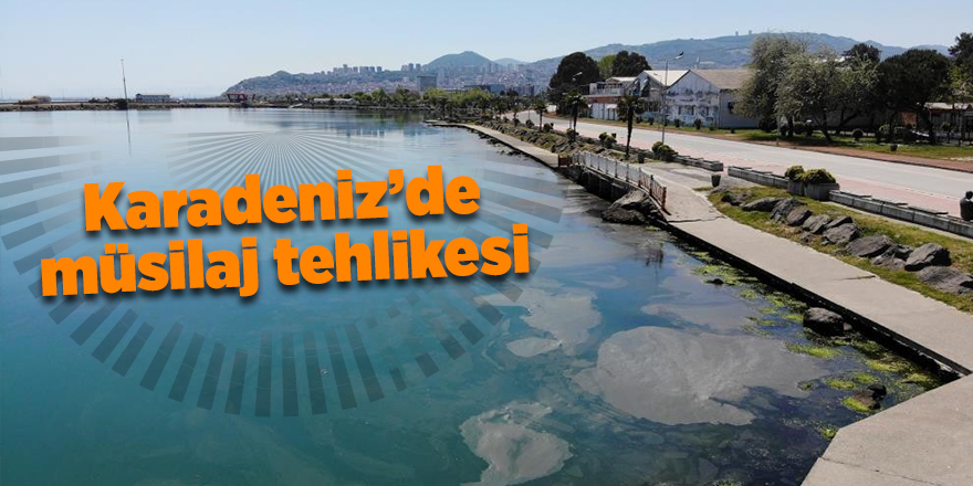 Karadeniz’de müsilaj tehlikesi - samsun haber