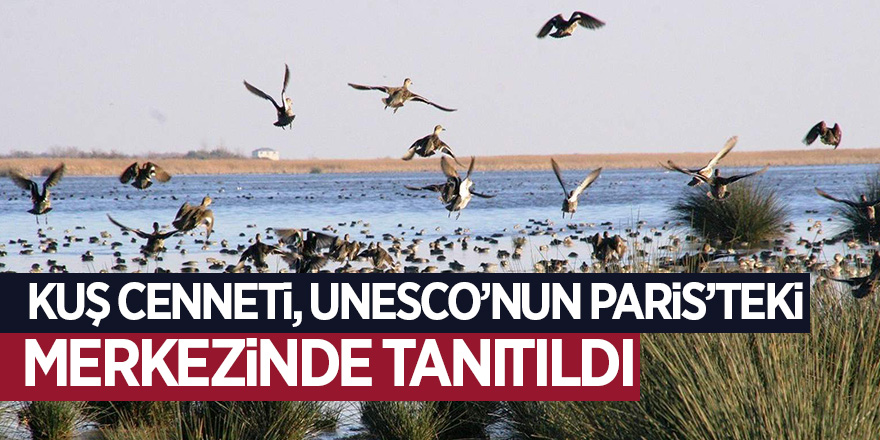 Kuş Cenneti, UNESCO’nun Paris’teki merkezinde tanıtıldı